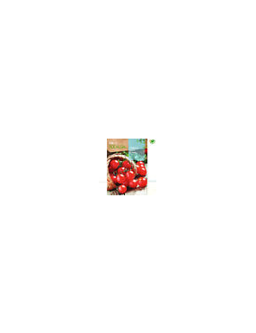 SEMILLA TOMATE RED CHERRY