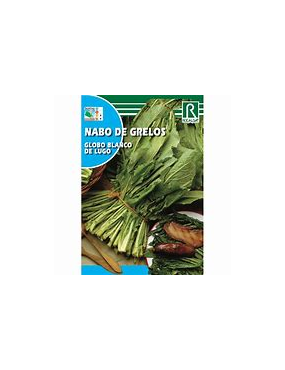 NABO GRELO DE LUGO 100GR