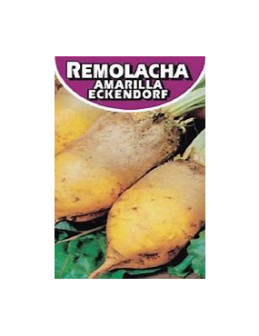 REMOLACHA FORRAJERA 500GR